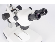 Stero Zoom Microscope